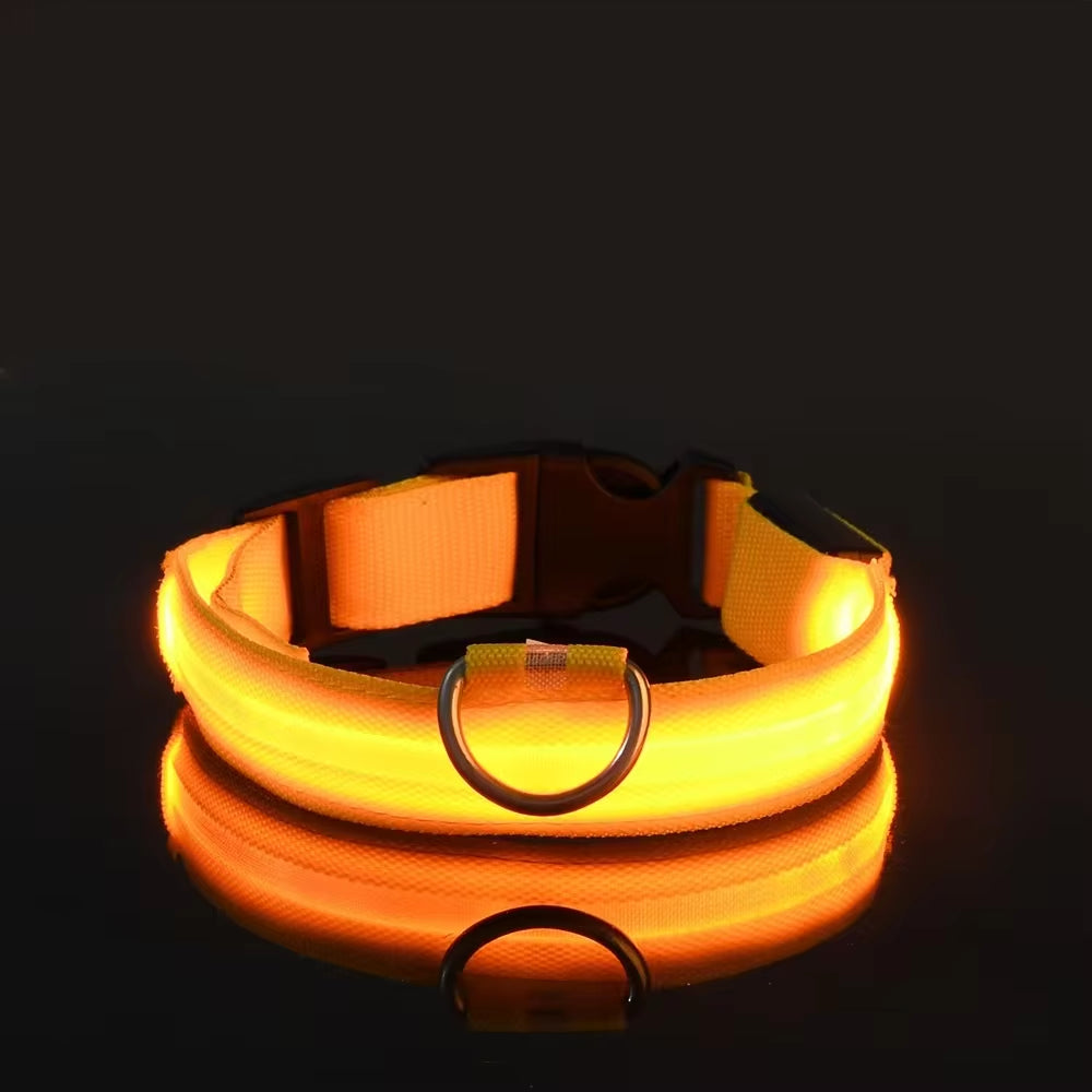 Dog Collar Nylon LED Night Safety Flashing Glow in the Dark Pet Dog Leash Pet Dogs Luminous Fluorescent Dog Accessories Collar